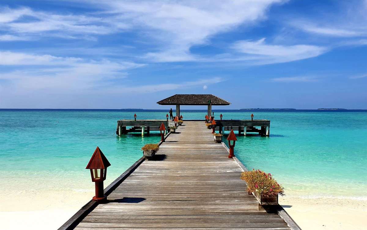 The Barefoot Eco 4* миниатюра 5