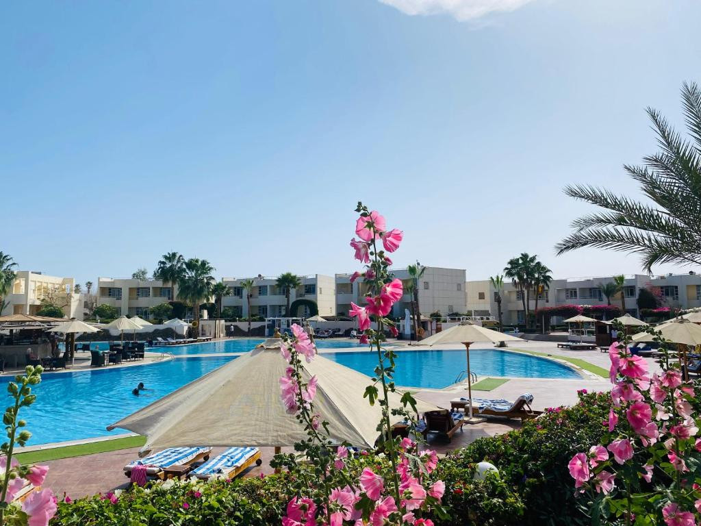 Sharm Reef 3* миниатюра 5