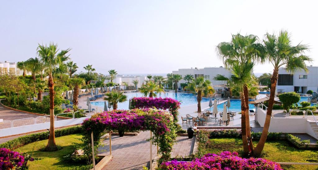 Sharm Reef 3* миниатюра 6