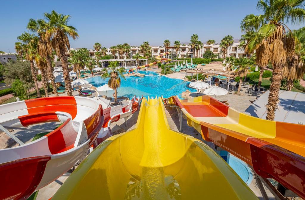 Amphoras Aqua (Adults Only 12+) 4* миниатюра 2