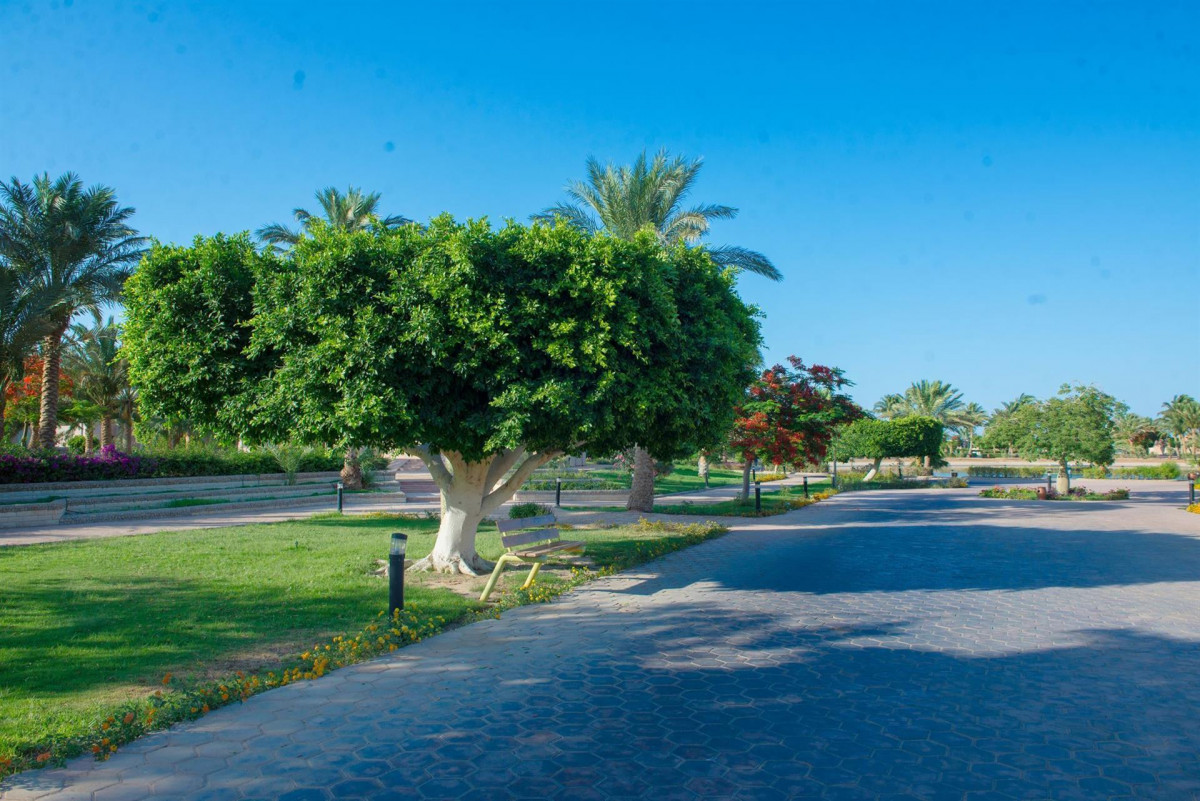 Pharaoh Azur Resort (Ex. Sonesta Pharaoh)  5* миниатюра 6