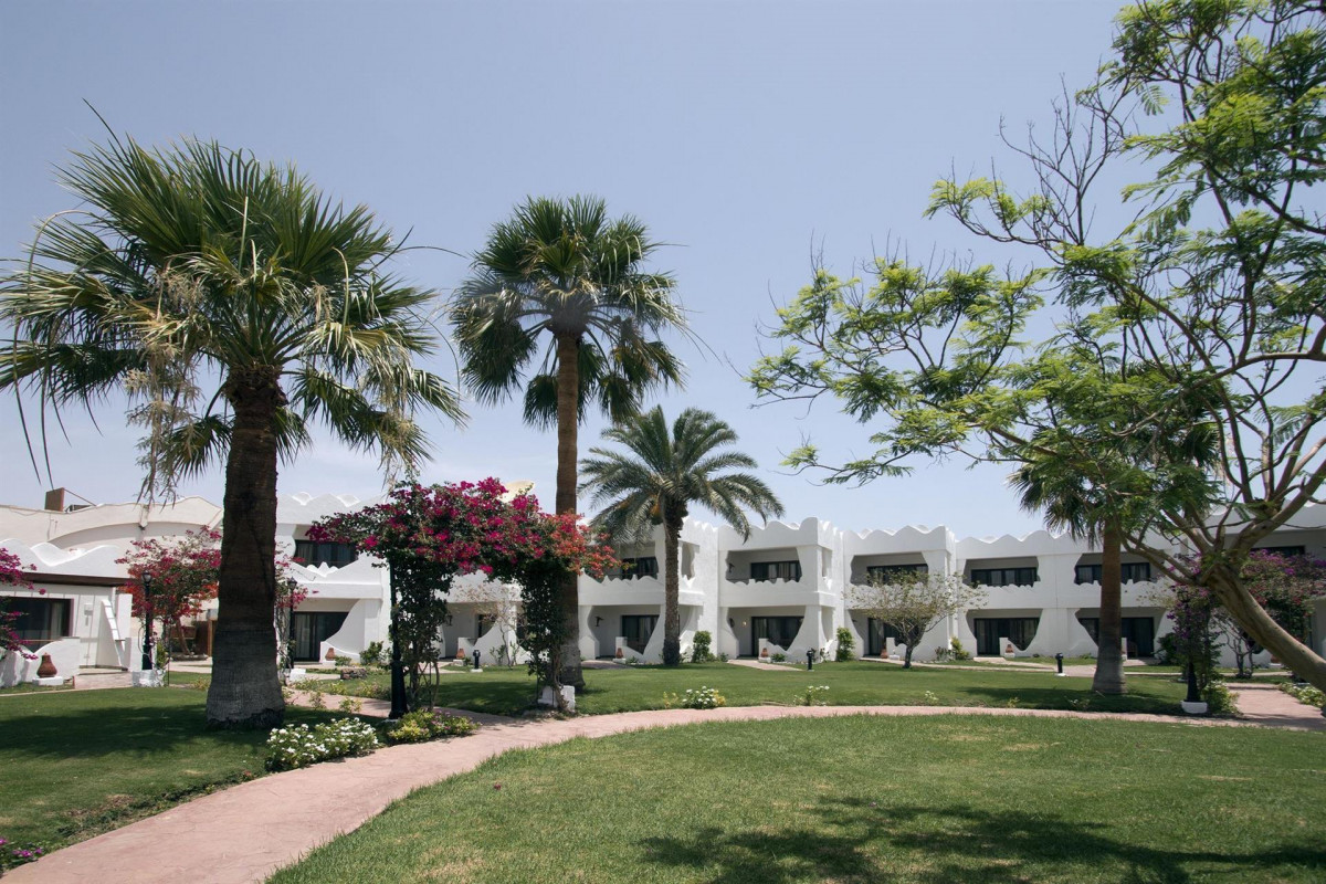 Swiss Inn Resort Dahab 4* миниатюра 5