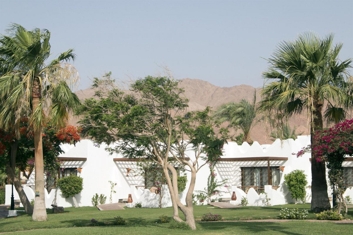 Swiss Inn Resort Dahab 4* миниатюра 6