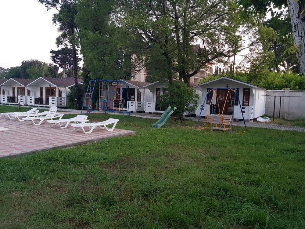 Цитрус миниатюра 4