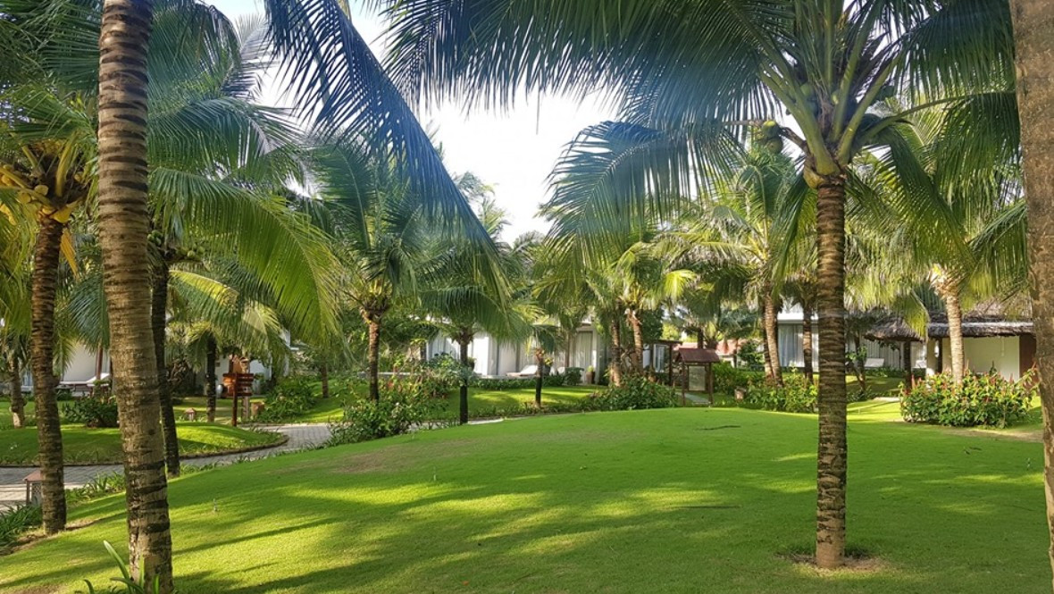 Sonata Resort And Spa 4* миниатюра 3