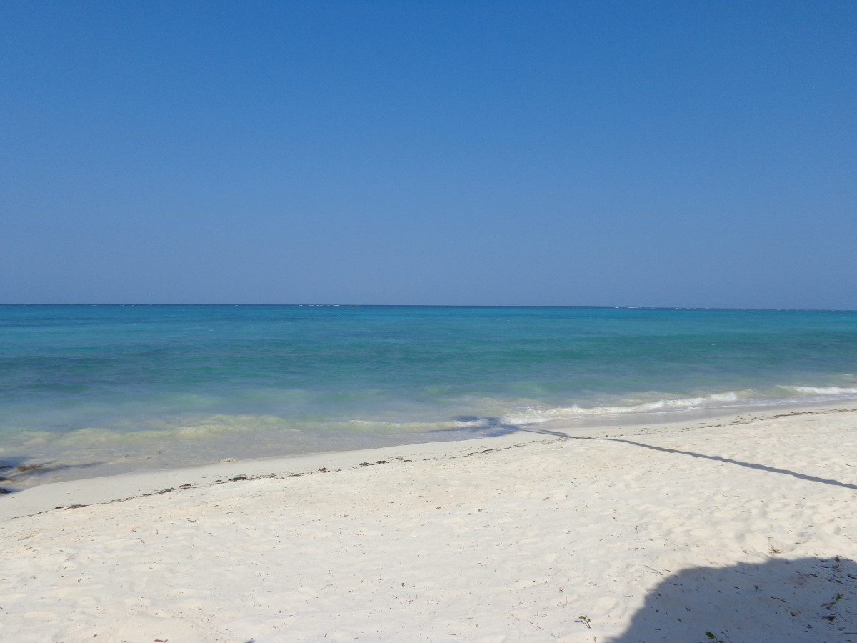 Reef & Beach Resort 3* миниатюра 6