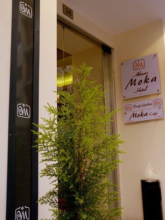 Solomou 3* миниатюра 3