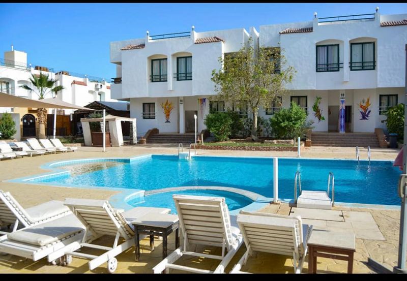 Viking Club 4* миниатюра 6