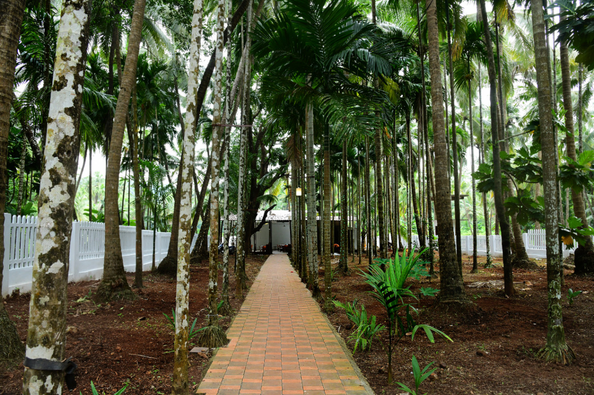 Arambol Paradise Village Resort 1* миниатюра 5