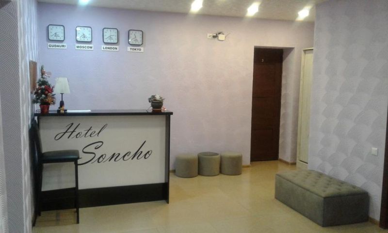 Soncho Gudauri 2* миниатюра 6