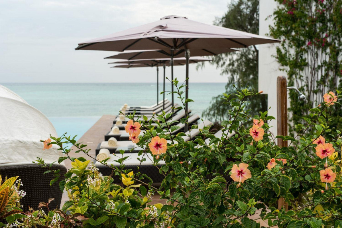 Nungwi Dreams By Mantis (Ex. Nungwi Dreams Boutique) 5* миниатюра 6