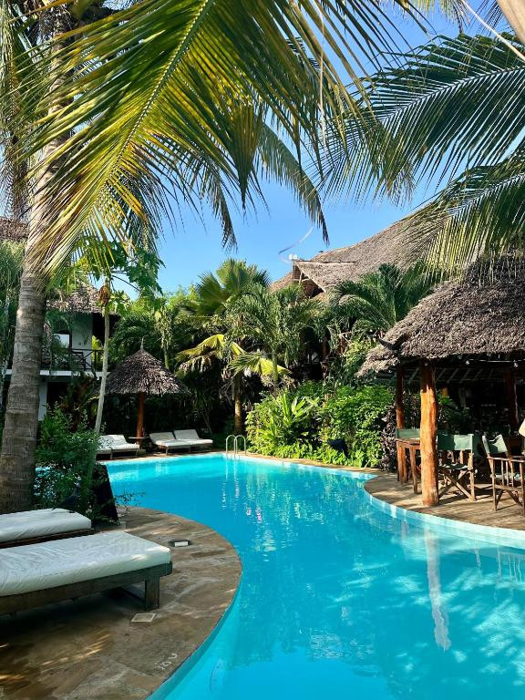 Maisha Nungwi (Ex. Aluna Beach Lodge) 3* миниатюра 5