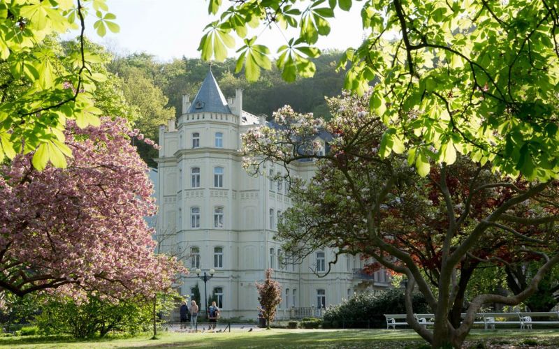 Pavlov (Ex. Dum Pavlova) 4* миниатюра 2