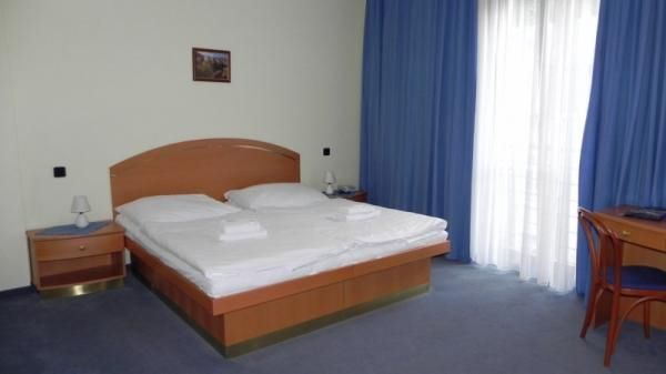 Ruze 4* миниатюра 6