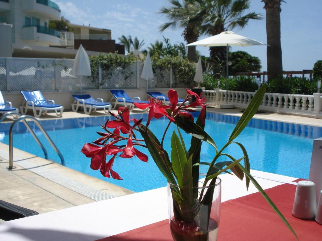 Maxsea Beach Hotel (Ex. Moonlight) 3* миниатюра 6