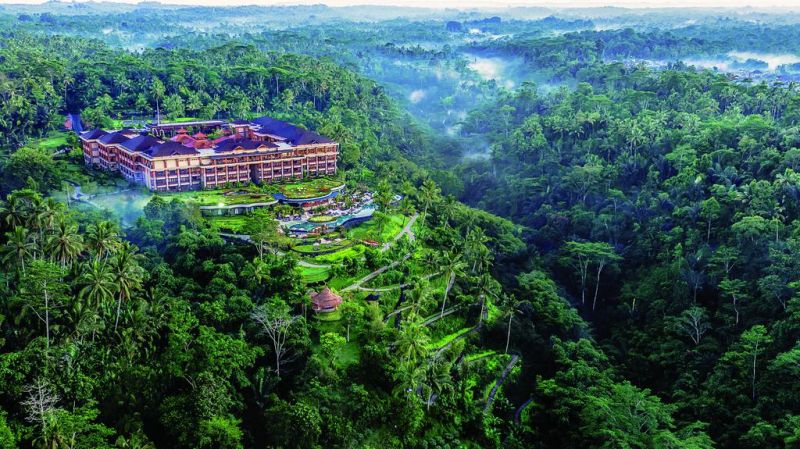 Padma Ubud 5* миниатюра 4