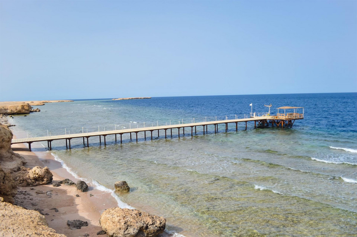 Viva Blue Resort And Diving Sport 4* миниатюра 4