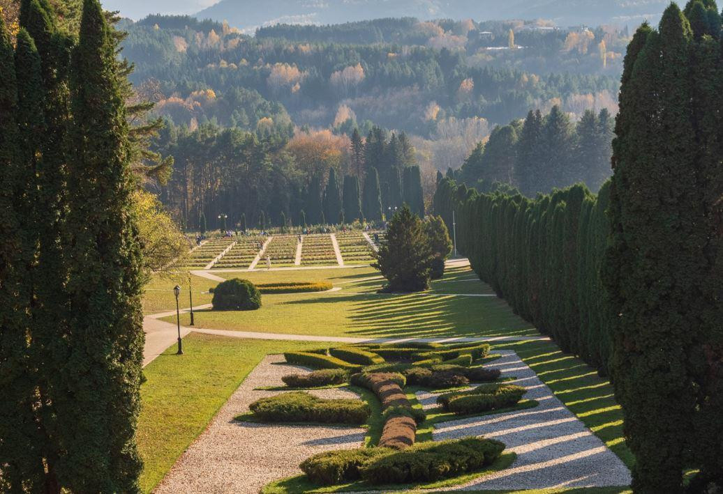 Арника Санаторий 4* миниатюра 4