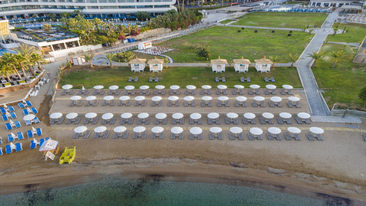 Lonicera Premium 5* миниатюра 5