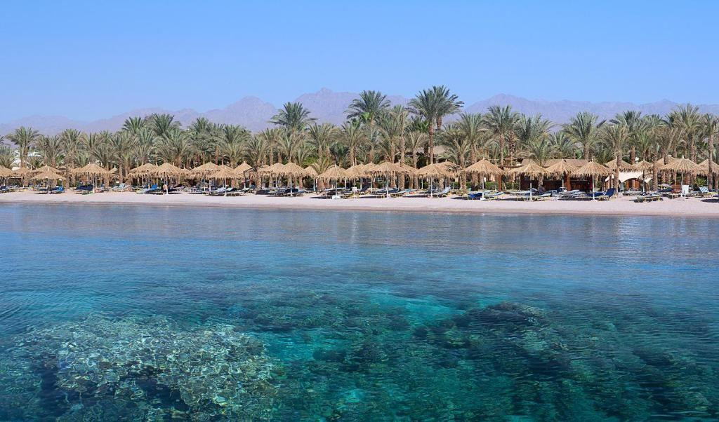 Sharm Dreams Vacation Club 5* миниатюра 6