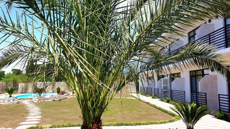 Club Resort Hotel Oasis  4* миниатюра 5