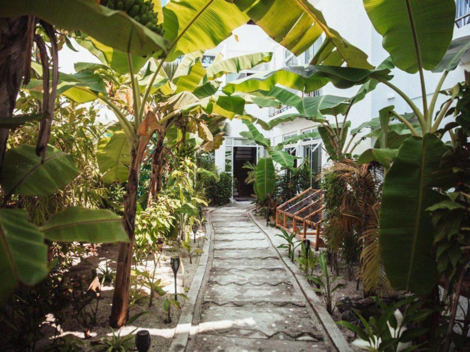 Perla Dhangethi миниатюра 3