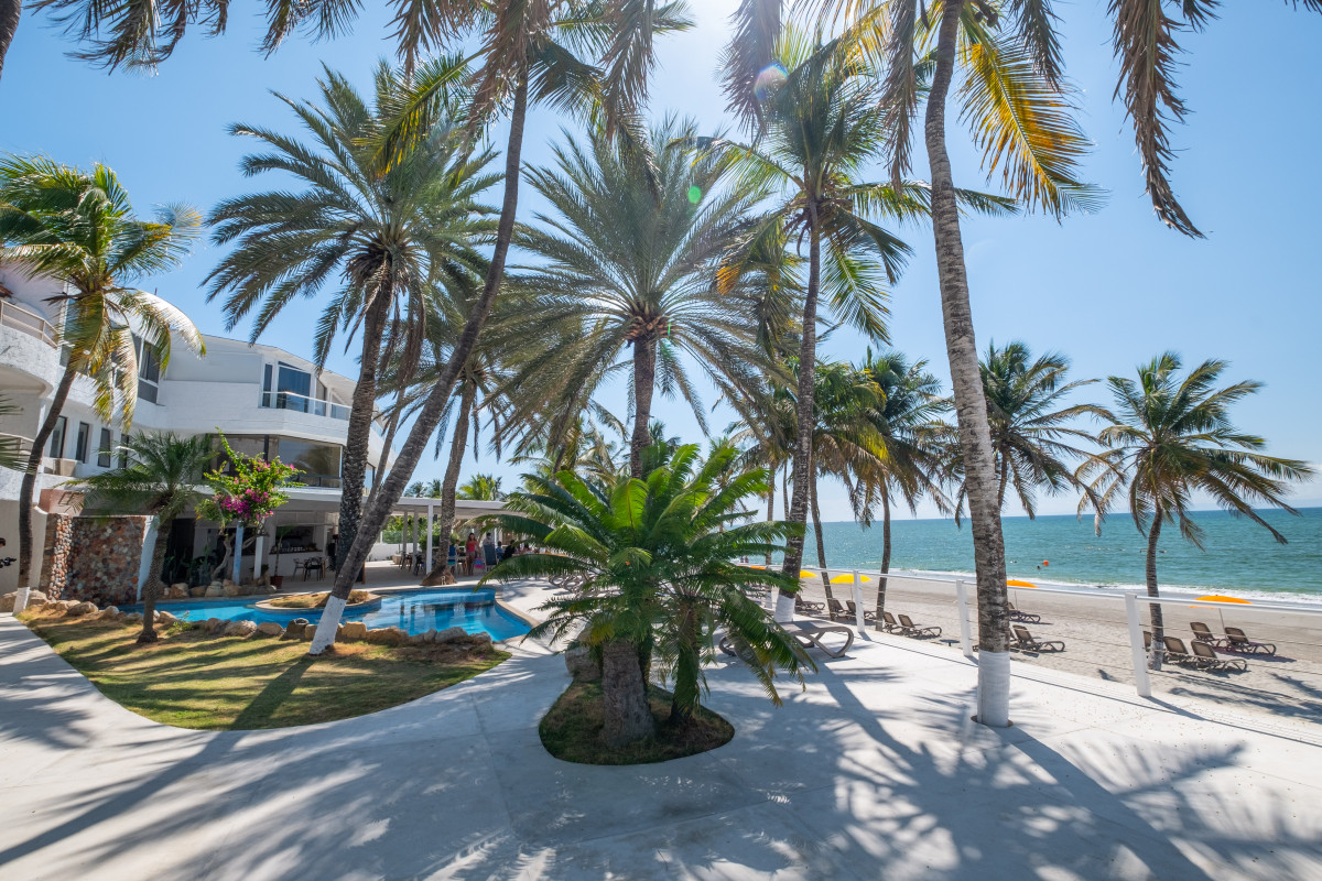 Surf Paradise 3* миниатюра 3