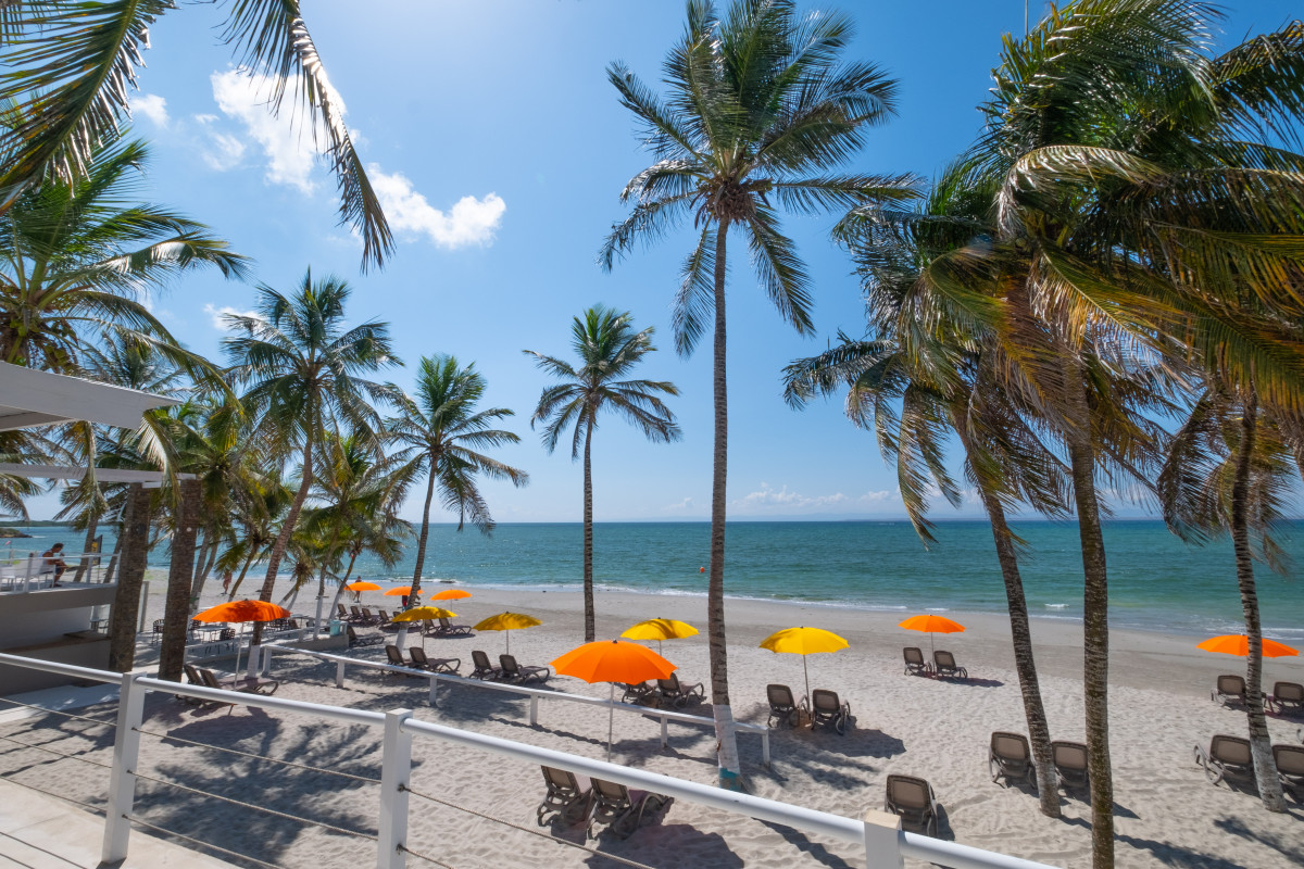 Surf Paradise 3* миниатюра 5