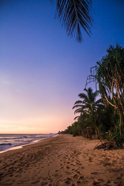 Serendib Beach Hotel 3* миниатюра 6