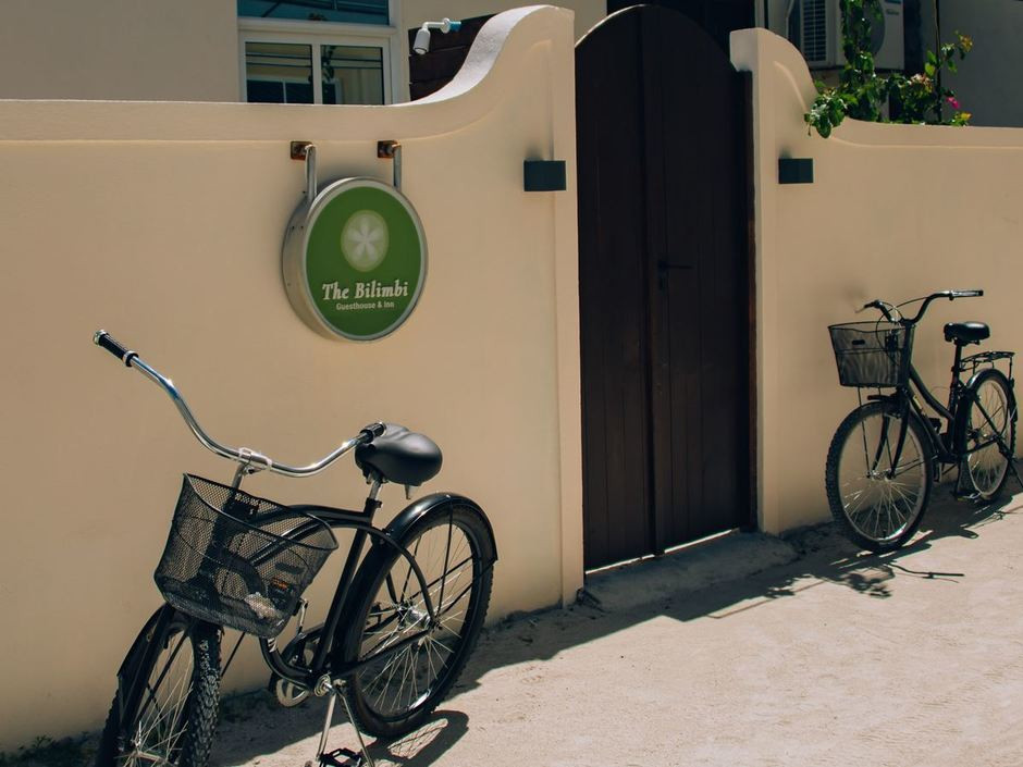 The Bilimbi миниатюра 2