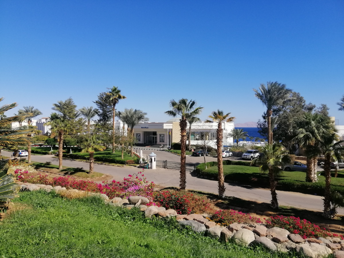 Queen Sharm Resort View 4* миниатюра 4