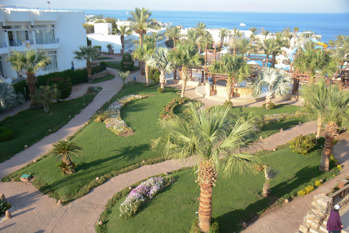 Queen Sharm Resort View 4* миниатюра 5