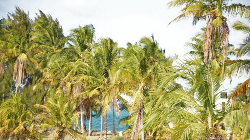 Paje Blu Boutique Hotel 4* миниатюра 6