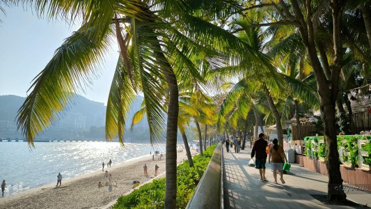Хайнань Зима: Китай через Москву из Москвы и Калининграда - Китай