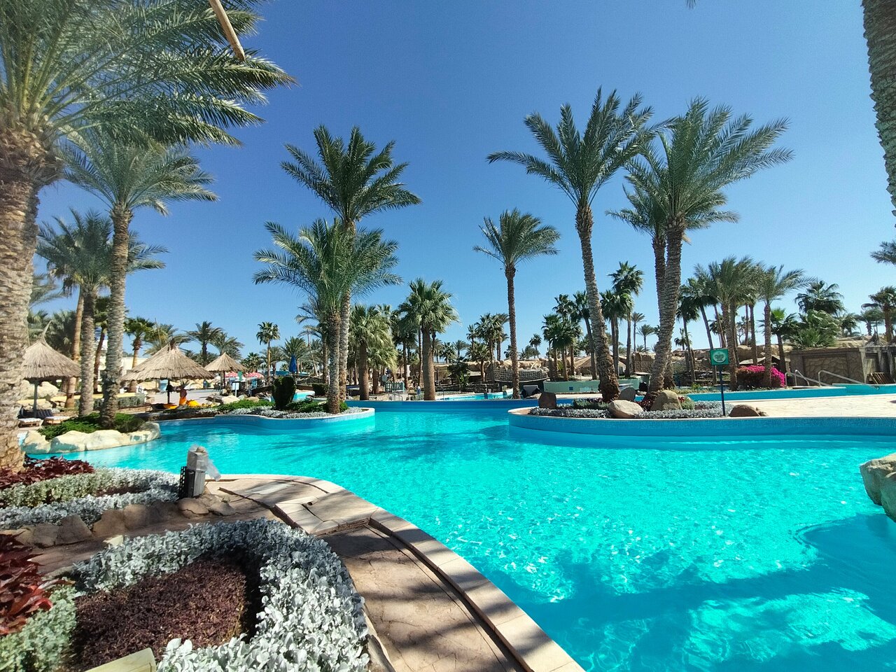 Роскошный отдых в Шарм-эль-Шейхе из Калининграда - Египет - 01.03.2026 - 01.05.2026