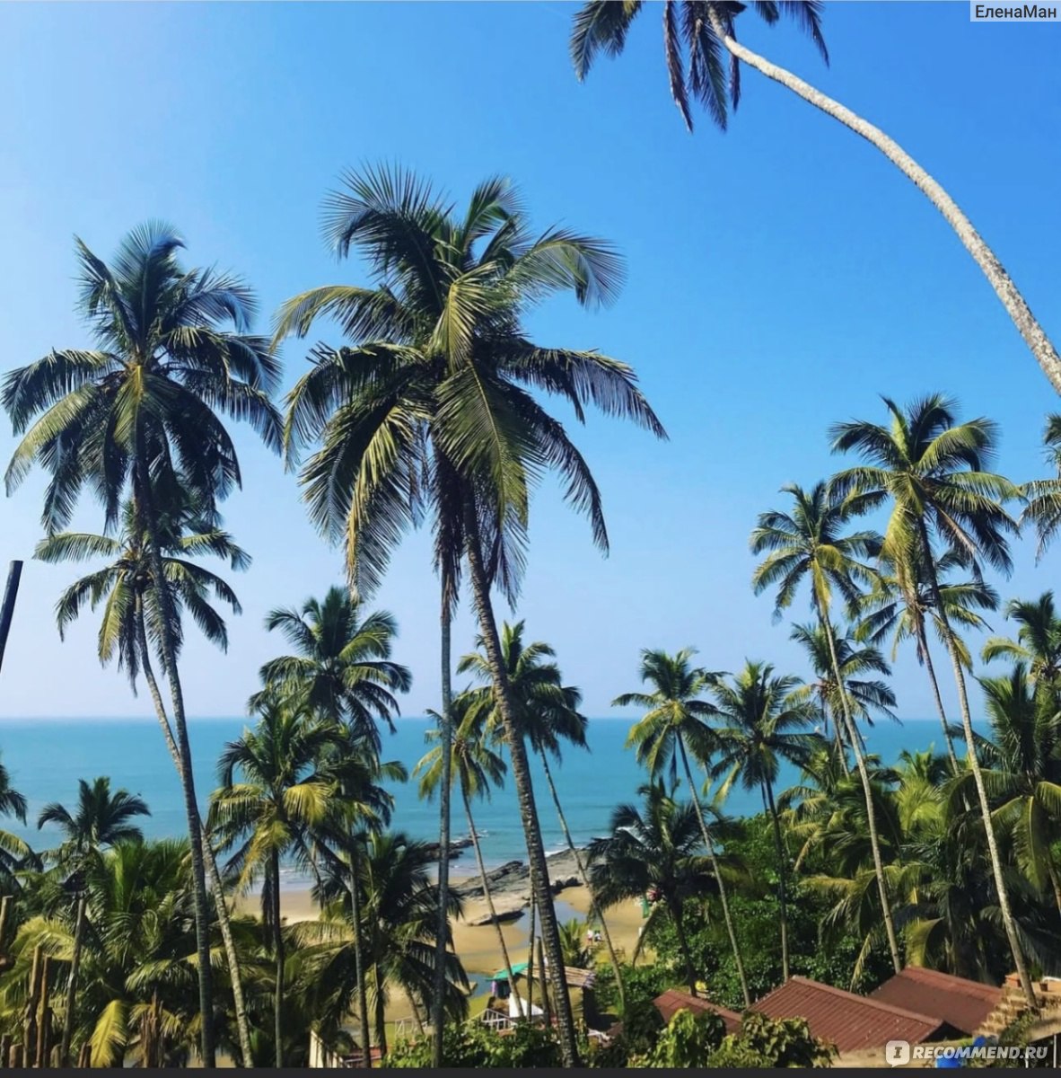 Зимний Гоа 2026: Разгром Цен! - Индия - 01.01.2026 - 28.02.2026