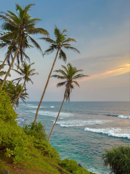 Зимний рай на Шри-Ланке: Вылет из Москвы и Калининграда! - Шри-Ланка