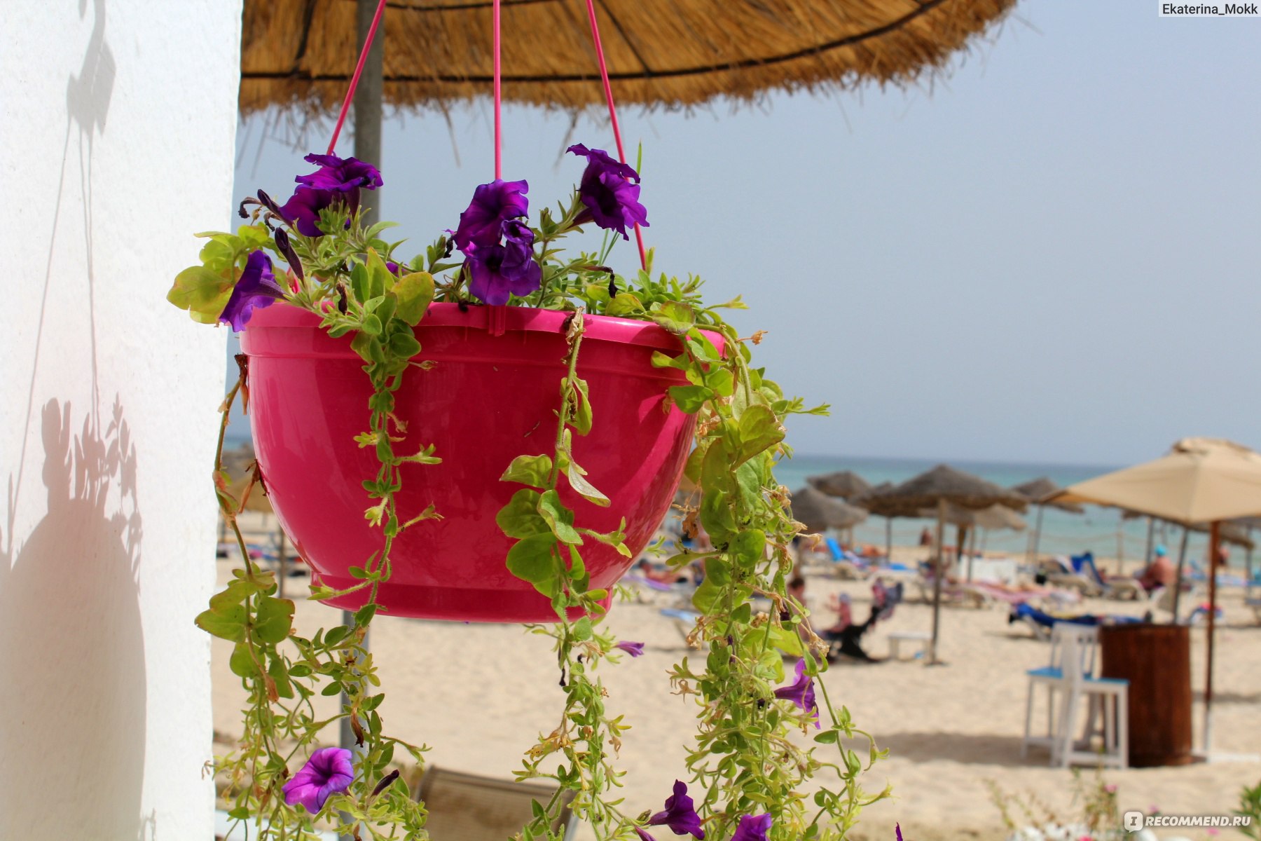 ВЕСЕННИЙ ТУНИС: СКИДКА 40% ИЗ СПБ, КАЛИНГРАДА И МОСКВЫ! - Тунис - 01.05.2026 - 31.05.2026