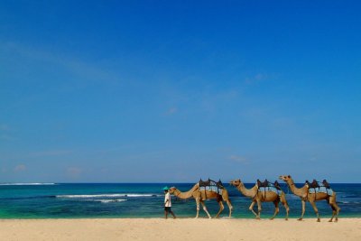 Hilton Bali Resort (Ex. Grand Nikko) 5*