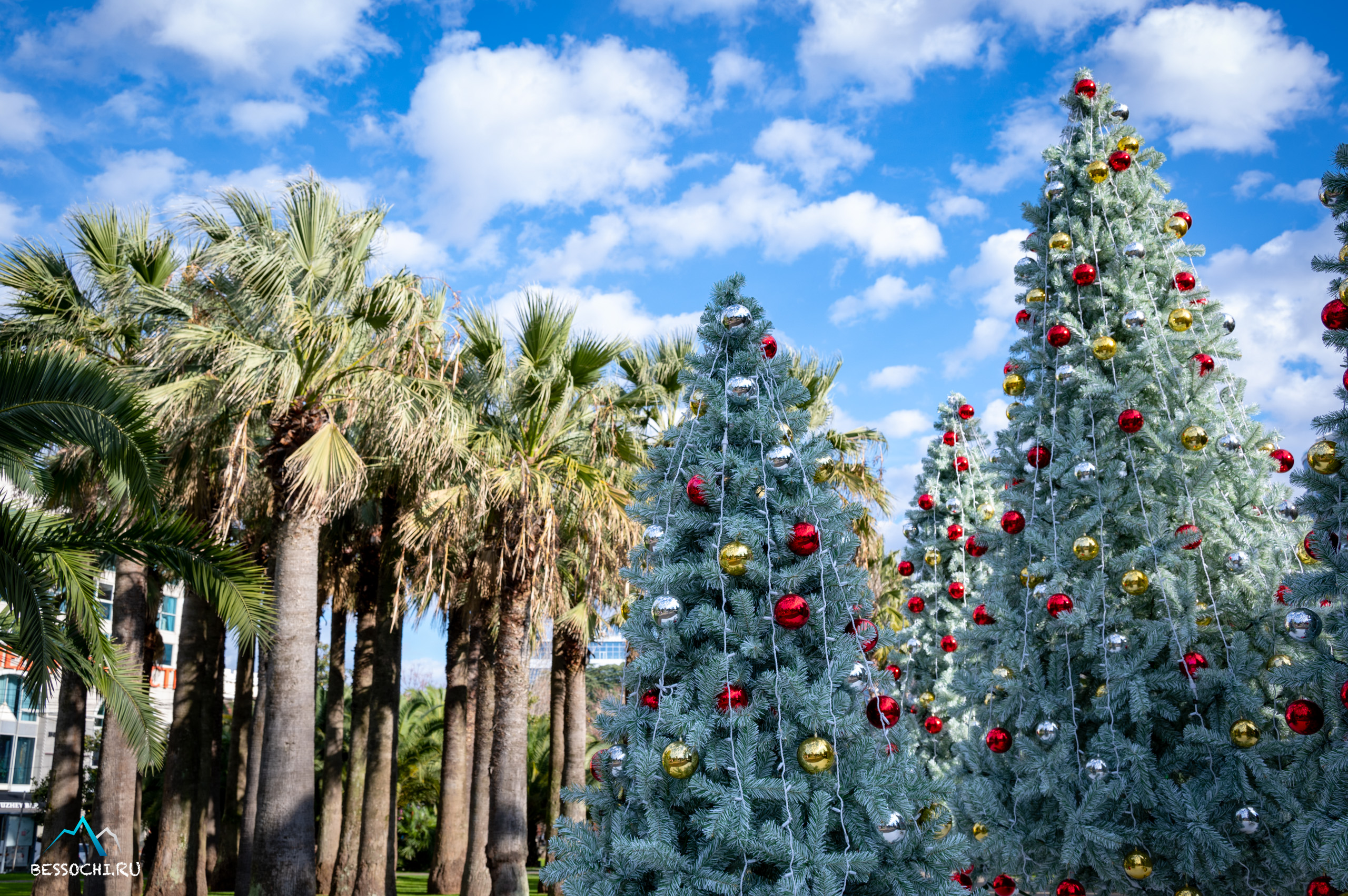 Сочи 2026: Новый Год с 33% скидкой из Москвы! - Россия