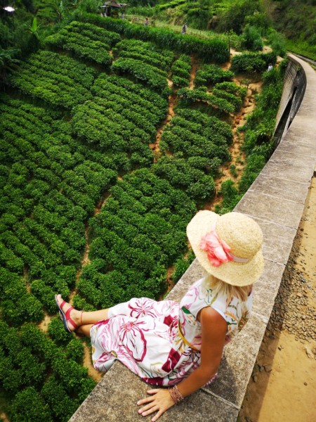 Шри-Ланка: апрель–май из Москвы через Калининград - Шри-Ланка