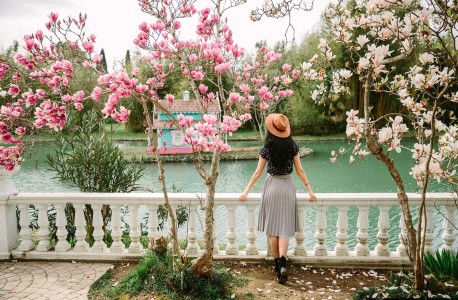 Весенний Сочи: Мечта из Москвы со скидкой до 40%! - Россия