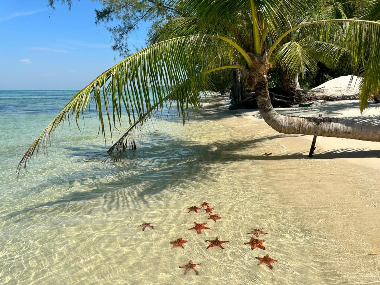 Весна в Фукуоке и Вьетнаме: Москва — через Калининград - Вьетнам