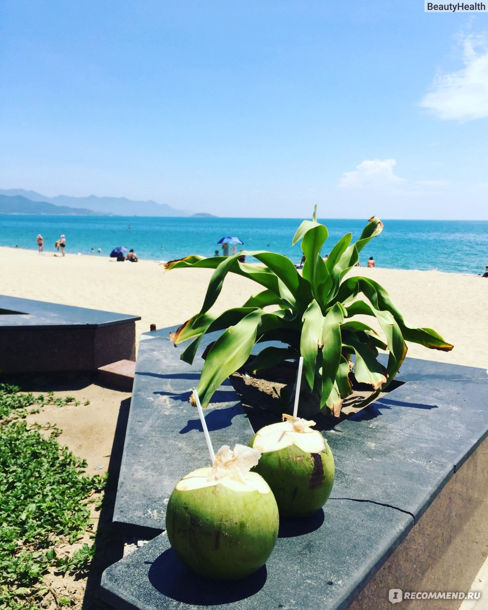 Весенний Нячанг: Мечта за Границей! - Вьетнам - 01.04.2026 - 31.05.2026