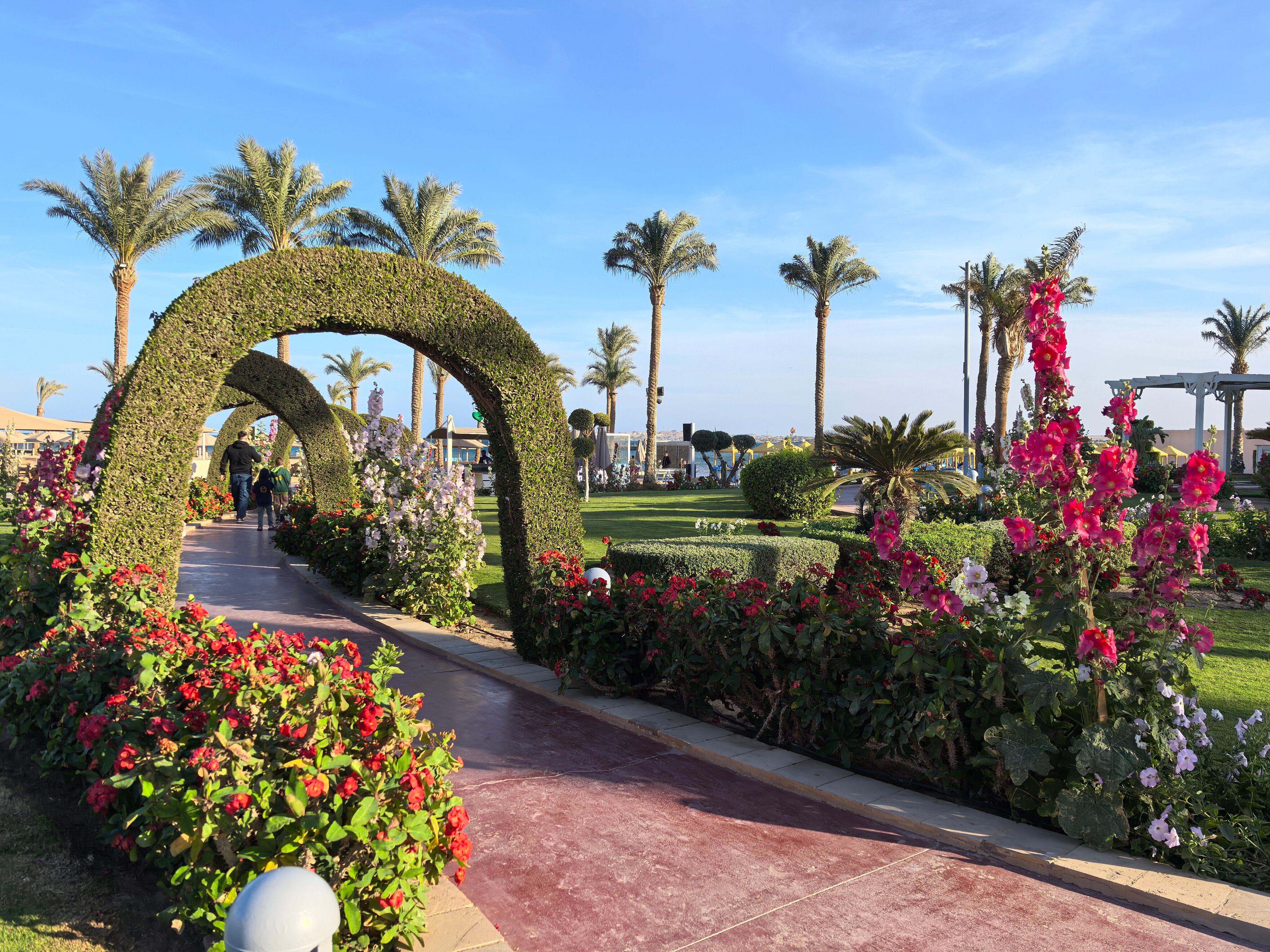 Весенний рай в Хургаде: прямой рейс из Калининграда! - Египет - 01.04.2026 - 31.05.2026