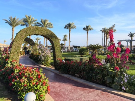 Хургада: Весенний Блеск — Летай из Калининграда! - Египет