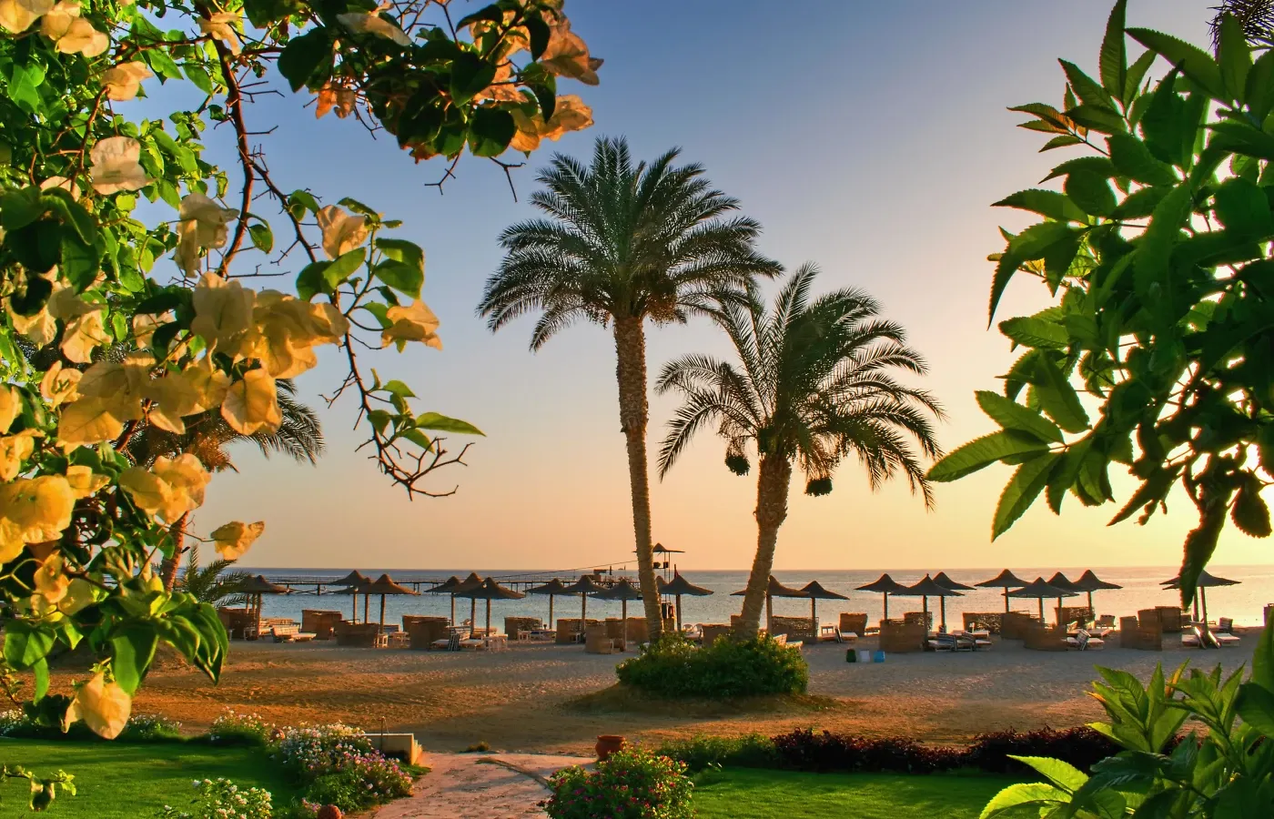 Тёплая осень в Хургаде из Калининграда: отдых в сентябре–ноябре - Египет - 01.09.2026 - 30.11.2026