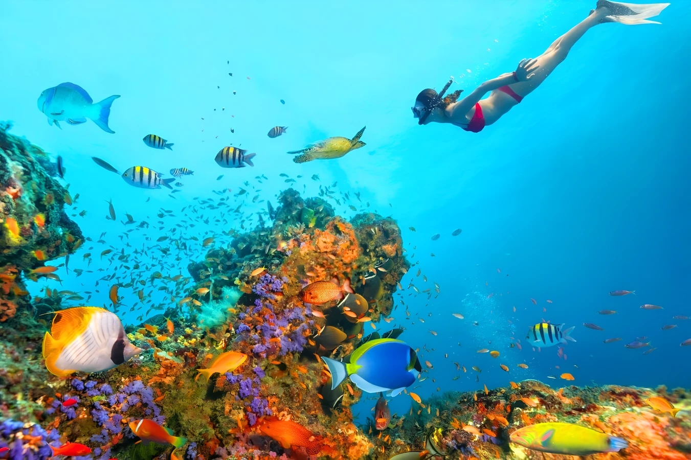 Шарм-эль-Шейх: Осень из Калининграда -48% - Египет - 01.09.2026 - 30.09.2026