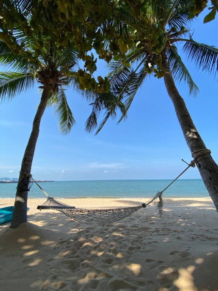 Февральская яркость: Паттайя ждёт! - Таиланд