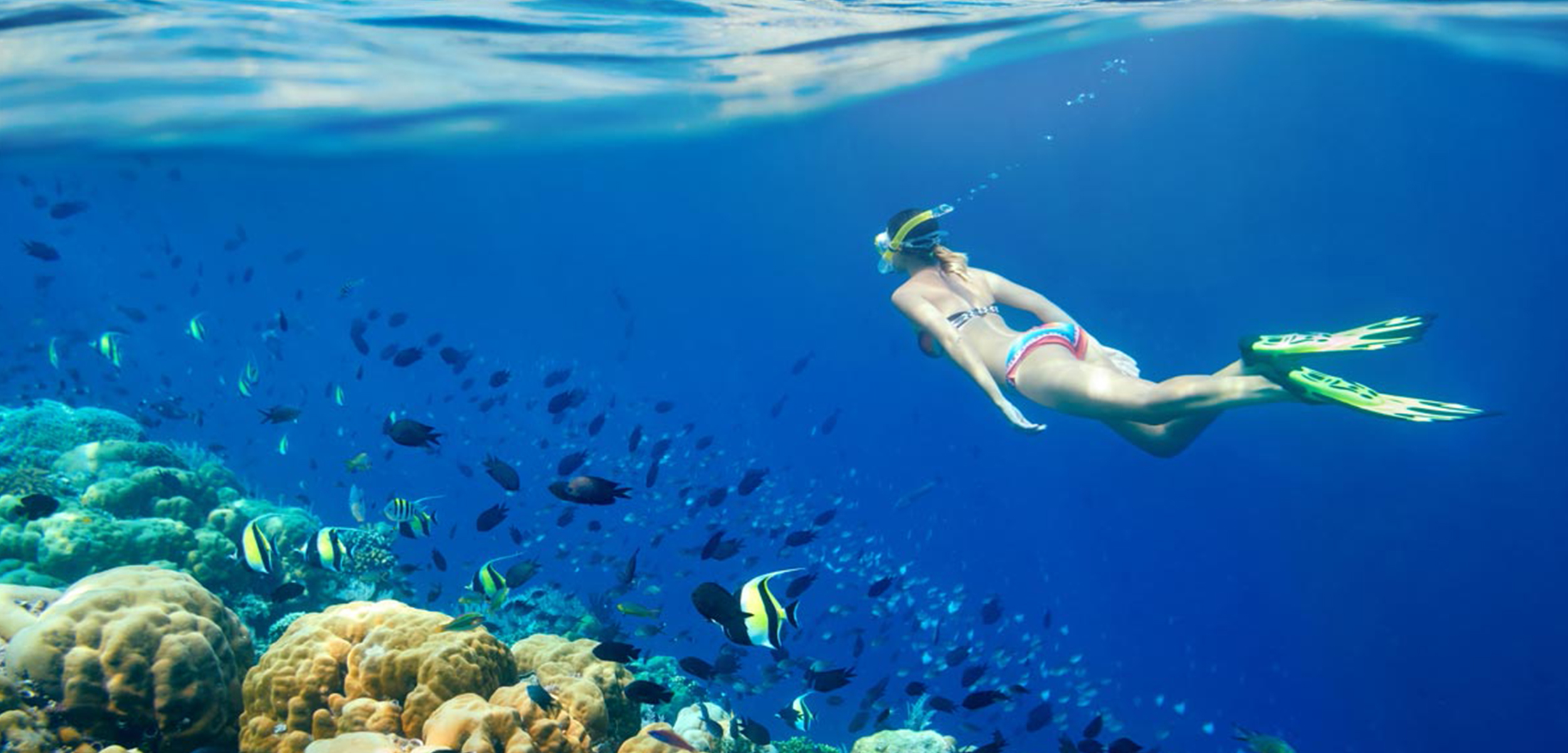 Тур в Египет. Мартовское Пробуждение: Хургада для Любителей Сноркелинга - Египет - 01.03.2026 - 31.03.2026